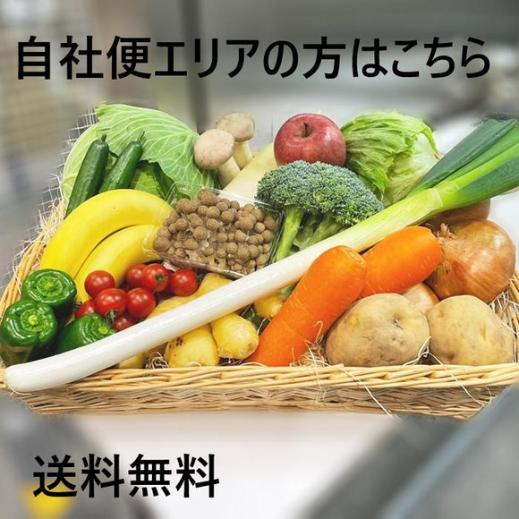 （自社便）お好みで選べる詰替え野菜セット　●季節により内容が変わります。写真横3枚目、4枚目を参考にして下さい